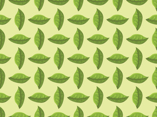 matcha set powder green tea japanese leaf ingredient powder element herb traditional cartoon icon