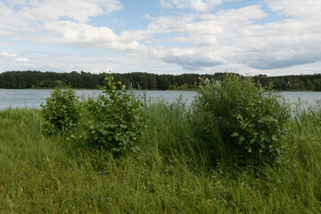 A serene lakeside scene with lush greenery and a bright sky