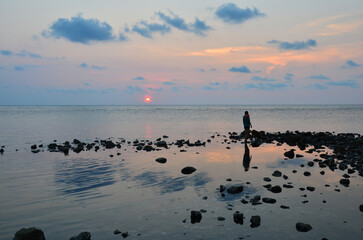 Local thai women people leash dog walking relax on stone rock beach recreation and playing swimming water in sea ocean in Gulf of Thailand while sunset dusk time at Koh Chang island in Trat, Thailand