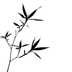 Silhouette of a Lucky Bamboo tree branch with leaves in an artistic nature style.
