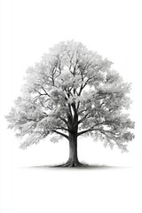 Detailed Illustration of a Leafy Tree with Sparse Foliage and Trunk