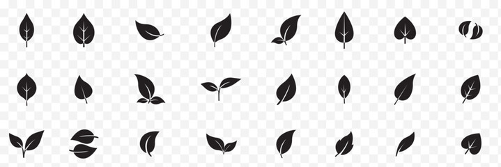 Bold and Beautiful 24 Unique Lips Icons in Striking . Leaves icon on isolated background. Collection green leaf.   