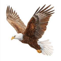 Fototapeta premium Majestic Eagle in Flight: A Stunning Watercolor Illustration , PNG isolated cut out image