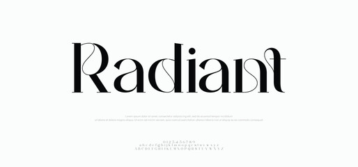 Radiant premium luxury elegant alphabet letters and numbers. Vintage wedding typography classic serif font decorative vintage retro. creative vector illustration