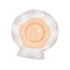 ホタテ　ほたて貝　帆立貝　貝殻付きホタテ　イラスト