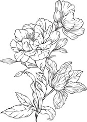 Detailed black and white floral lineart featuring delicate blossoms and flowing leaves perfect for botanical themes, minimalist designs, or nature inspired compositions