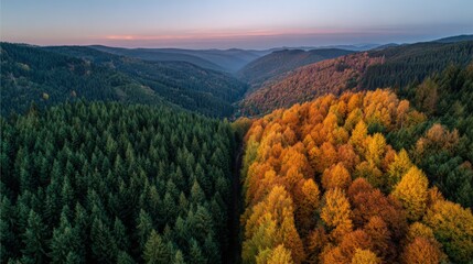 A breathtaking view of a dense forest transitioning from green to vibrant autumn colors in a mountainous landscape during sunset.