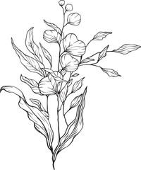 Hand drawn wildflowers with detailed blooms, slender leaves, and natural flow an elegant black and white lineart rich in organic charm and botanical grace