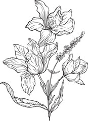 Hand drawn wildflowers with detailed blooms, slender leaves, and natural flow an elegant black and white lineart rich in organic charm and botanical grace