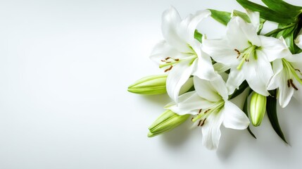 Fototapeta premium Elegant white lily flowers with green leaves on a white background for floral decoration.