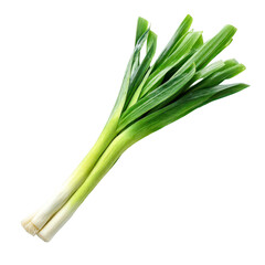 Fresh green leeks on black background healthy food ingredient isolated on transparent background, perfect cutout, PNG