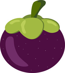 vector illustration of mangosteen