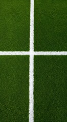 Obraz premium a green grass field with a thick white line running horizontally across the center. Thick horizontal white painted line is running across green grass turf in flat vector illustration, wallpaper