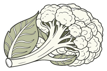 Vibrant cauliflower head banner design with bold colors