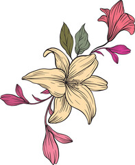 Pink and yellow blooms intertwine with soft green leaves, creating a lively floral artwork that captures nature's warmth, freshness, and ornamental charm in vivid detail