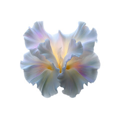 Ethereal Luminescent Flower Bloom Abstract Floral Art