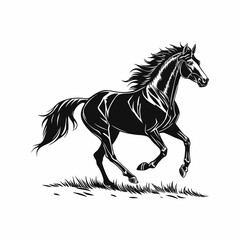 silhouette of clean vactor of hourse