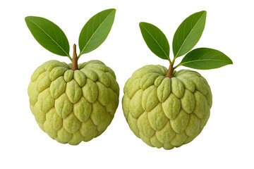 Fresh sugar apples with leaves isolated on transparent background