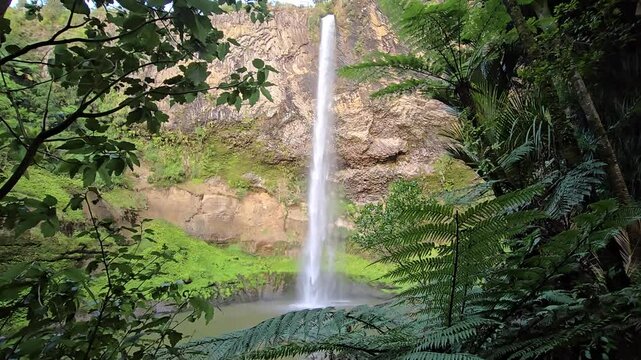 Bridal Veil Falls Footage from the Lush Rainforest of New Zealand, Front View 