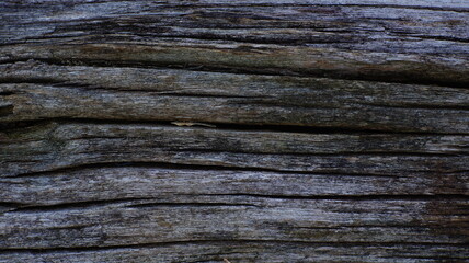Old Weathered Wood Texture with Natural Cracks and Grain for Rustic Backgrounds