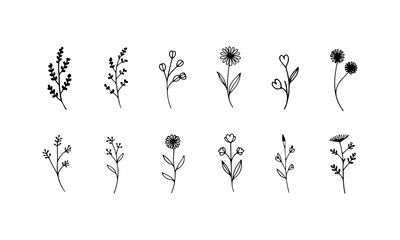 Abstract Line Buds. Minimal floral buds drawn with abstract curves and delicate stems for a modern and stylized botanical look.