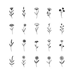 Circular Bloom Motif. Circular floral bloom with balanced petal symmetry and modern stylization, great for decorative or logo use.