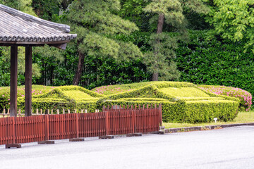 Even in the meticulously maintained shrubs you can see Japanese architecture in Tokyo, Japan