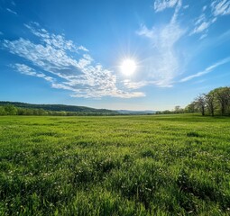 Sunny day on a vast green field with blue sky and white clouds.