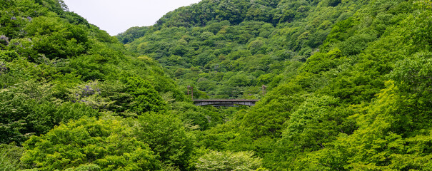 新緑と新碓氷川橋梁