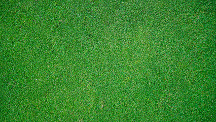 Green grass pattern and texture for background, top view background of garden bright grass concept.