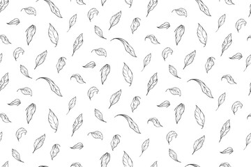 A graceful scattering of delicate hand drawn leaves on crisp white evokes simplicity and natural charm, ideal for nature inspired themes and mindful aesthetics