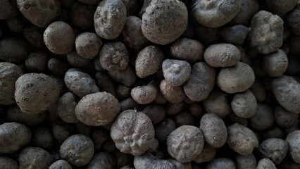 Close-up View of a Pile of Organic Taro Root Vegetables