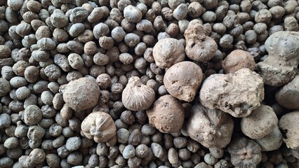 Close-up View of Numerous Irregularly Shaped, Brownish-Gray Pebbles and Stones