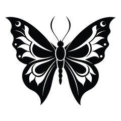 Elegant Black Butterfly Illustration
