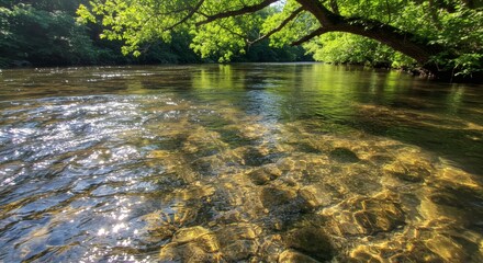 Serene River Scene Crystal Clear Water Flowing Under Summer Sunlight