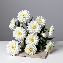Obraz premium Elegant white dahlia flower bouquet with lush green leaves arranged on a neutral surface against a light gray background for floral design and decoration