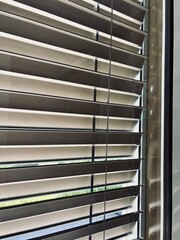 Rolllanden am Fenster zur Verdunkelung der Raumes