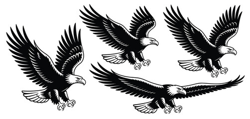 Obraz premium Three Black and White Flying Bald Eagles