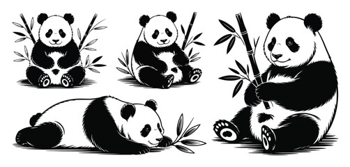 Obraz premium Cute Panda Bear Illustrations with Bamboo