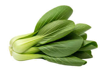 Obraz premium Fresh Green Bok Choy - Healthy Asian Vegetable