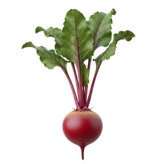Fresh Whole Red Beetroot with Green Leaves - Organic Garden Vegetable