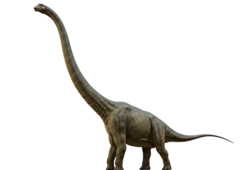 A light gray sauropod dinosaur standing tall with a long neck and tail set against a stark black background