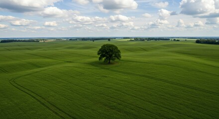 Solitary Tree in Vast Green Field under a Cloudy Sky A Peaceful Landscape Photograph
