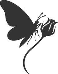 Vector of a butterfly 