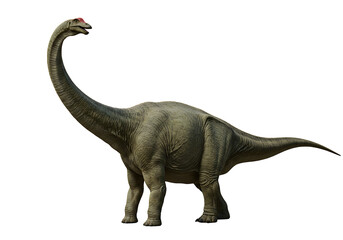 Obraz premium A longnecked dinosaur possibly a Brachiosaurus stands in stark isolation against a black background