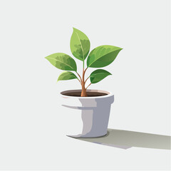 single plant in a pot on a clean surface with soft shadows
