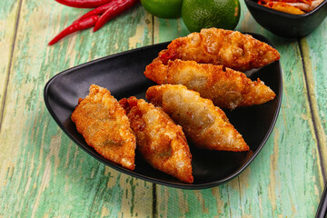 Asian fried stuffed dumplings gyoza