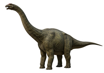 Obraz premium A sauropod dinosaur is posed with a long neck slender tail greengray skin on a black backdrop