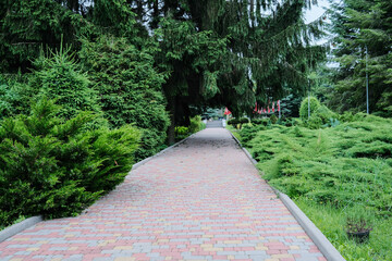 A long, winding paved path leads through a lush green park, flanked by dense trees and manicured...