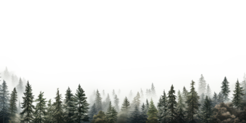 dark fir tree forest landscape view isolated on white or transparent png